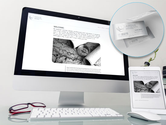 Argus Transformative Coaching and Consulting project preview