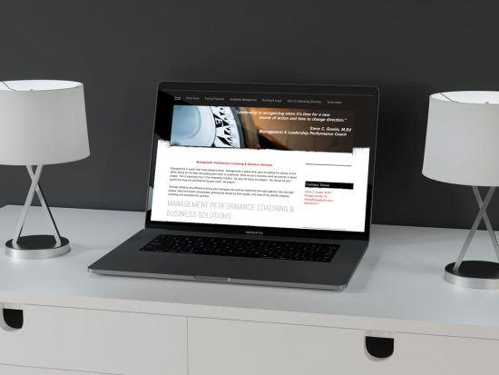 Steve Gostin E-Commerce Website Development, SEO & Amazon Marketing website preview