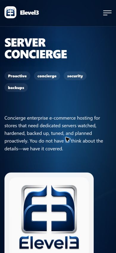 Elevel3 current mobile website after optimization